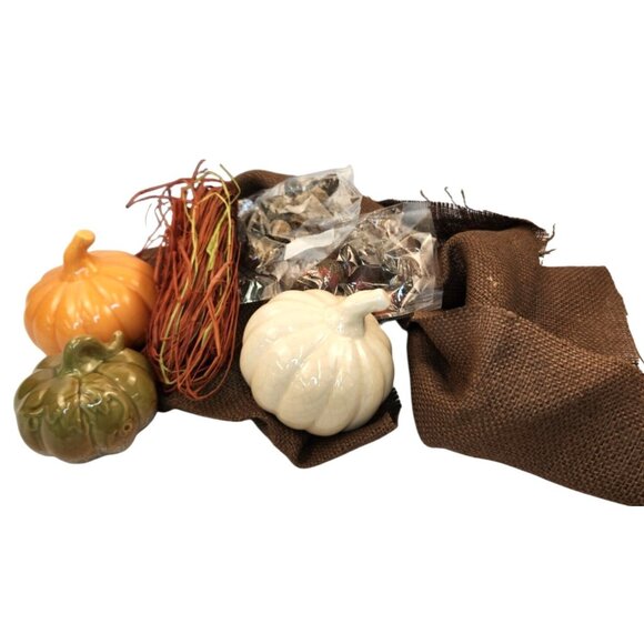 Ceramic Mini Pumpkin Decor Set W/Burlap Fall Holiday Table Centerpiece Craft Kit - Picture 1 of 8
